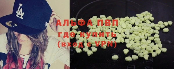 spice Верея